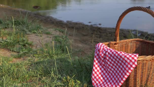 Göl kenarında kırmızı pamuklu kumaşlı piknik sepeti. — Stok video