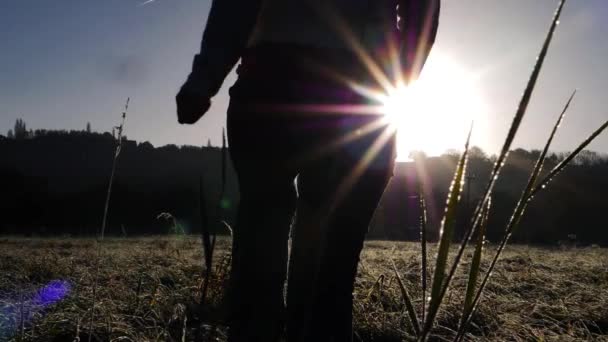 Vrouw maakt ochtendwandeling op ijzige dag op het platteland scene — Stockvideo