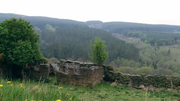 Verfallene alte Scheune in ländlicher Umgebung Wiese in England — Stockvideo