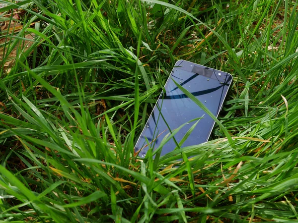 Kayıp cep telefonu çimenlerde bırakılmış. Yakın çekim.