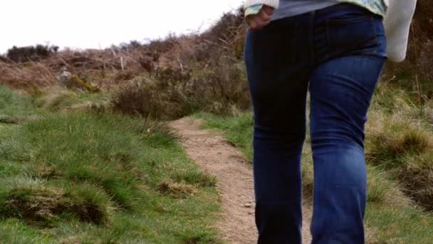 Kvinnlig vandrare i robust spår i Yorkshire Dales landsbygd — Stockvideo