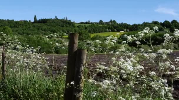 Ackerland in Yorkshire mit umgepflügten Furchen — Stockvideo