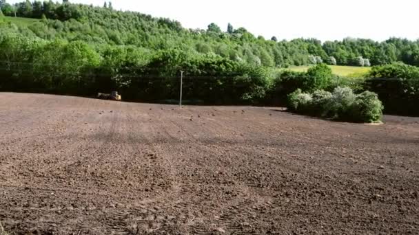 英語の田舎の農地では、耕された土の溝に鳥が群がっている — ストック動画