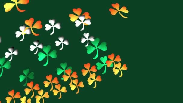 Shamrock symbol of Ireland floating animation — Stockvideo