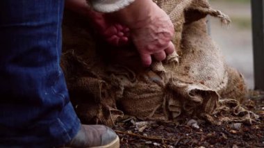 Yavaş çekim seçici odak noktası taşımak için çuval dolusu ürün bağlayan işçiler