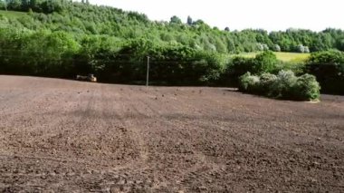 Kuşlar, İngiliz kırsal kesimlerinde toprağı sürüp seçici odak noktasında geniş çaplı zoom çekimleri yapıyorlar.