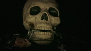 Gürültü ve parazitle ürpertici insan kafatası grunge animasyonu 