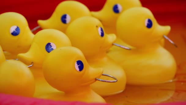 Funfair Bir Ördek Çocuk Oyunu Yakala Yakın Çekim Seçici Odaklanma — Stok video