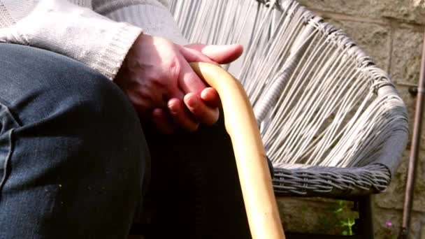 手の女性保持A木製歩行スティック中出しスローモーションズームアウト選択的フォーカス — ストック動画