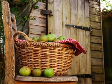 Kırsal bir sahnede bir sepet taze fırınlanmış elma seçici bir odak noktası