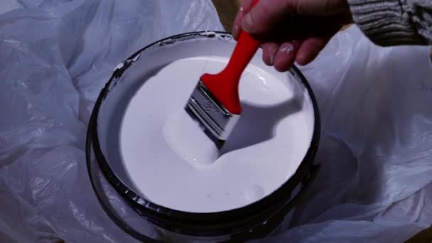 Pincel Pintura Mergulhando Tinta Branca Para Decorar Casa Zoom Câmera — Vídeo de Stock