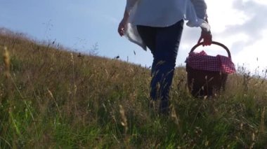 Sıcak güneş ışığı çayırında piknik sepeti olan kadın yavaş çekim geniş çekim seçici odaklanma