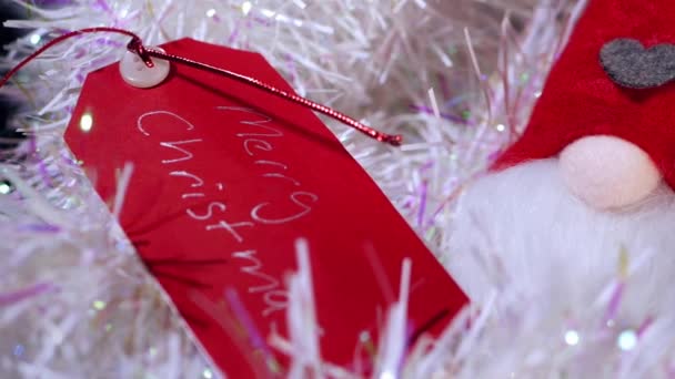 Frohe Weihnachten Geschenk Tag Mit Niedlichen Weihnachtszwerg Dekoration Nahaufnahme Dolly — Stockvideo