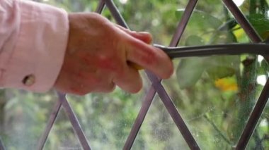 Pencereyi cam kazıyıcı ile temizleyen kadın yakınlaştır ve odakla.