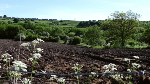 Сельскохозяйственные Угодья Йоркшире Вспаханными Бороздками Почвы — стоковое видео