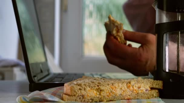 忙着在笔记本电脑上工作的女人吃三明治时 把镜头对准了镜头选定的焦点 — 图库视频影像
