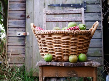 Kırsal bir sahnede bir sepet taze fırınlanmış elma. Seçici bir odak noktası.
