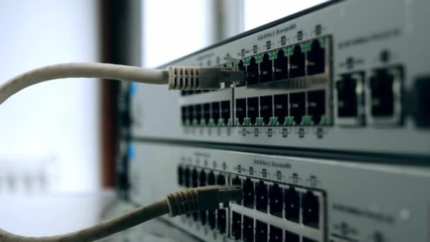 Computer Network Ethernet Switch Ports Medium Panning Shot Selective Focus — Wideo stockowe
