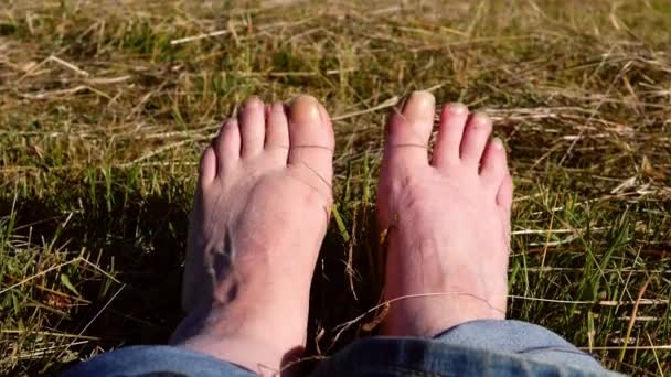 Feet Relaxing Grass Slow Motion Shot Selective Focus — Stockvideo