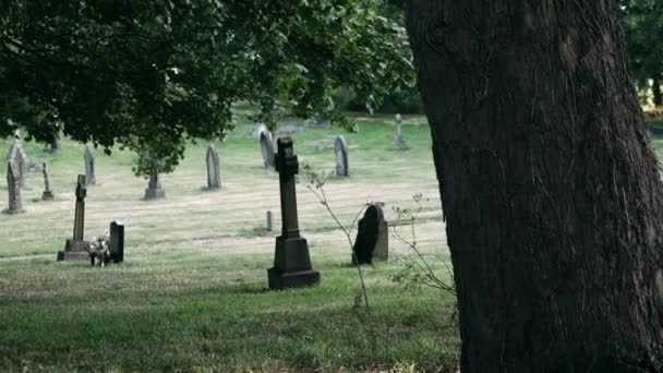 Church Graveyard English Church Summer Wide Reveal Dolly Shot Selective — Vídeos de Stock