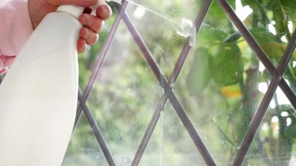 家用玻璃产品喷雾清洗窗玻璃中弹选择焦点 — 图库视频影像