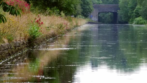 Canal Waterway England Summer Day Wide Establishing Shot Selective Focus — Video Stock