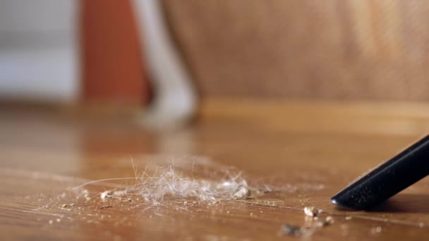 Vacuuming Hair Dust Carpet Medium Zoom Slow Motion Shot Selective — Vídeo de Stock