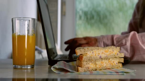 Busy Woman Working Laptop Eating Sandwich Close Zoom Out Shot — Stockvideo