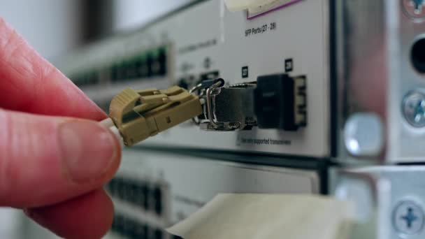 Network Engineer Connects Fiber Cable Computer Switch Close Zoom Shot — Video