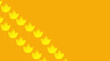 Autumn leaves on yellow background animation 