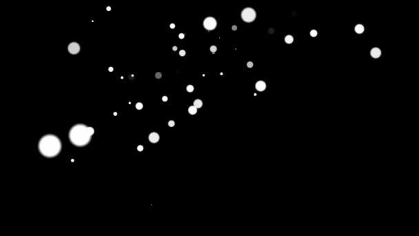 White Circles Floating Black Background Animation Abstract — 비디오