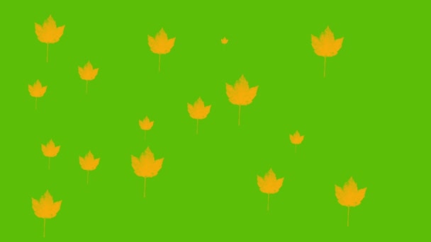 Colorful Autumn Leaves Bright Green Background Animation — Stockvideo