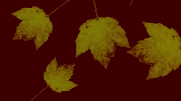 Autumn Leaves Fallen Ground Background Animation — Vídeos de Stock