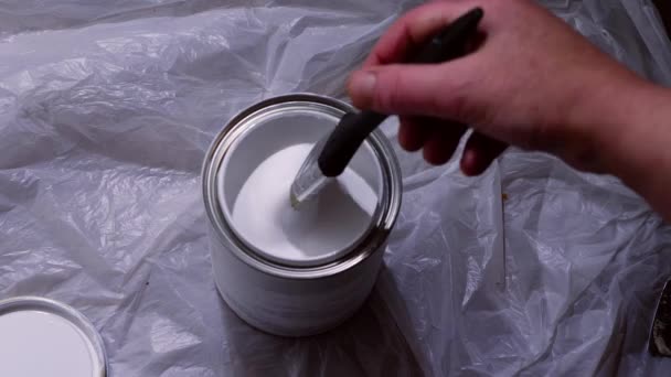 Dipping Paintbrush Tin White Gloss Paint Close Slow Motion Shot — Stok video