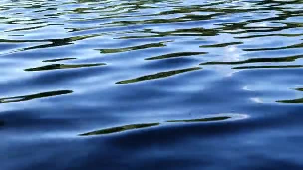 Cool Blue Water Ripples Lake Shot Slow Motion Selective Focus — Stockvideo