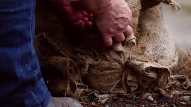 Yavaş çekim seçici odak noktası taşımak için çuval dolusu ürün bağlayan işçiler