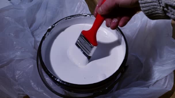 Dipping Paintbrush Tin White Gloss Paint Close Slow Motion Shot — Stockvideo