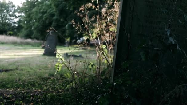 Old Neglected Headstone Church Graveyard Medium Dolly Zoom Shot Selective — Stock Video