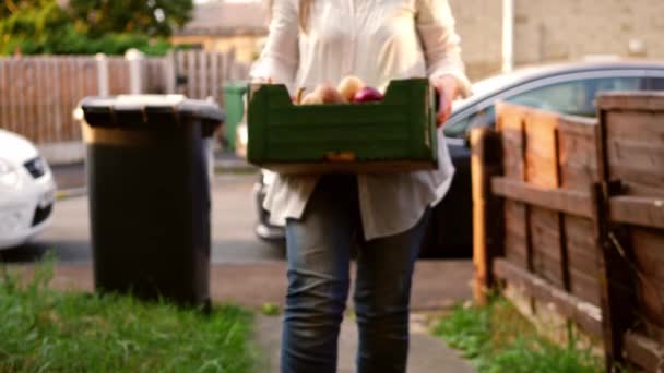 Entrega Comestibles Frescos Caja Verduras Frescas Frutas Medio Tiro Enfoque — Vídeos de Stock