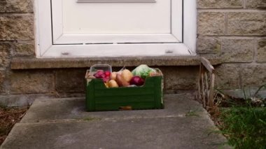 Bir kutu taze sebze ve meyve müşteriye sunulur geniş oyuncak bebek zoom seçici odak noktası 