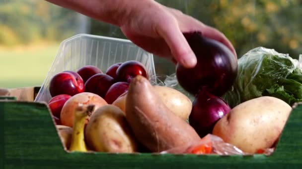 Välja Livsmedel Från Låda Med Färska Grönsaker Och Frukt Närbild — Stockvideo