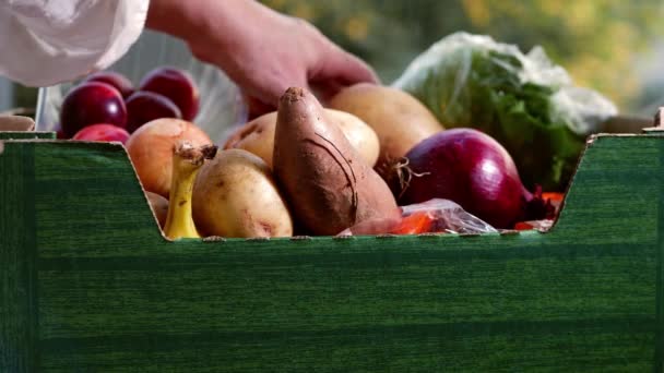 Selecteren Van Boodschappen Uit Doos Met Verse Groenten Fruit Medium — Stockvideo