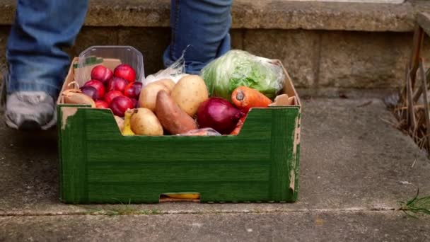 Caixa Legumes Frescos Frutas Entregues Cliente Casa Zoom Médio Tiro — Vídeo de Stock