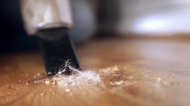 Vacuuming hair and dust from carpet medium 4k slow motion shot selective focus