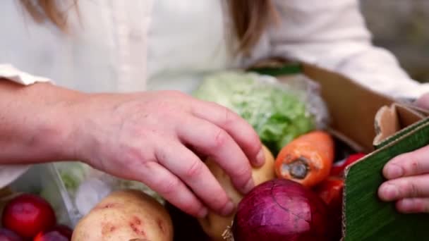 新鮮な野菜や果物のズームスローモーションのボックスから食料品を選択すると 近いショット選択的な焦点 — ストック動画
