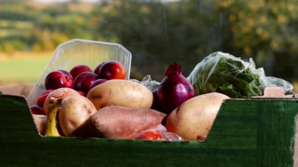 Box Fresh Vegetables Fruit Medium Dolly Zoom Shot Selective Focus — Vídeos de Stock