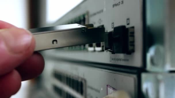 ネットワークエンジニアは コンピュータスイッチを閉じるズームショット選択的フォーカス上のファイバートランシーバ接続を接続します — ストック動画