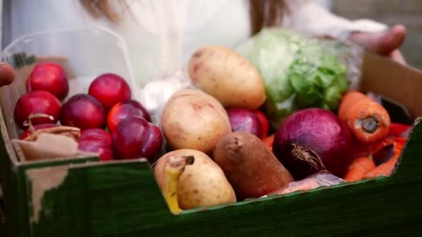 Držet Krabici Čerstvé Zeleniny Ovoce Krabici Zpomalený Film Zblízka Záběr — Stock video
