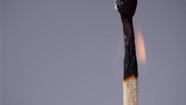 グレーの背景色で燃える木製の試合マクロズームショット選択的フォーカス — ストック動画