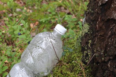 Ormandaki şişe, ormandaki enkaz, iklim değişikliği, küresel ısınma